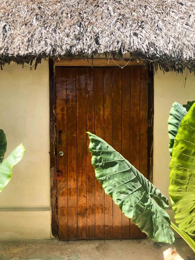 Casa Mate Beachfront Cabanas إل كويو المظهر الخارجي الصورة